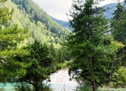 成都5日慢游指南：陪父母品古韵、看熊猫、享烟火气