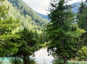 成都5日慢游指南：陪父母品古韵、看熊猫、享烟火气